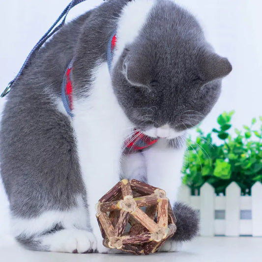 Cat Toy Set with Catnip Balls and Dental Chew Sticks