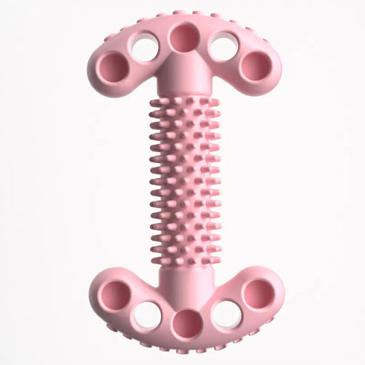 Bite Resistant Dog Bone Teeth Grinding Educational Toy