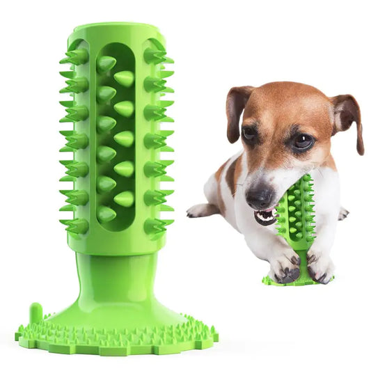 Teeth Cleaning Dog Toothbrush and Molar Stick Toy