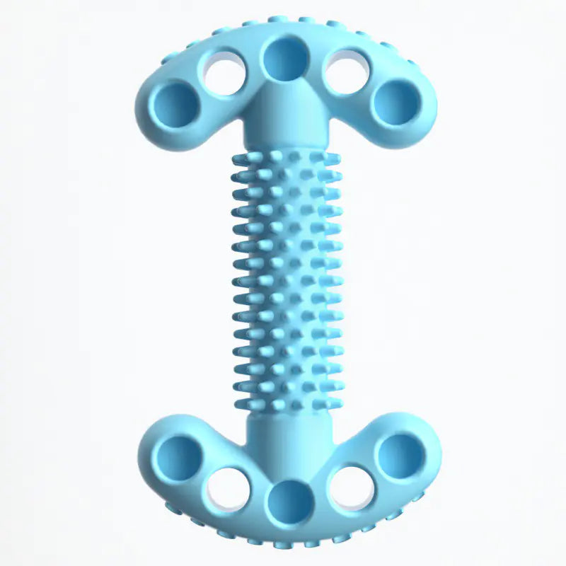 Bite Resistant Dog Bone Teeth Grinding Educational Toy