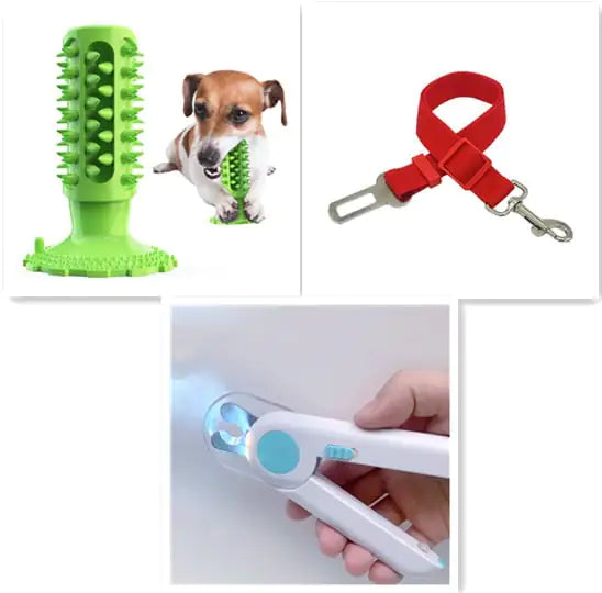 Teeth Cleaning Dog Toothbrush and Molar Stick Toy