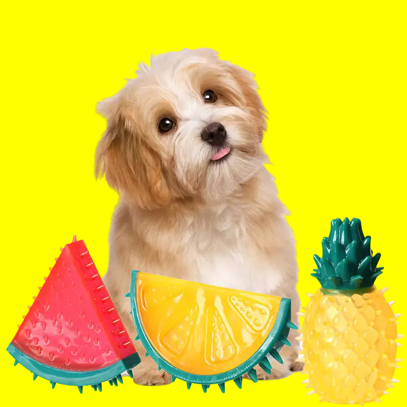 Squeaky Fruit Chew Toy for Dogs - Dental & Interactive Play