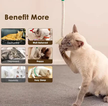 Cotton Rope Cat Chew Toy with Silvervine Fruit