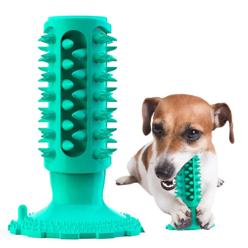 Teeth Cleaning Dog Toothbrush and Molar Stick Toy